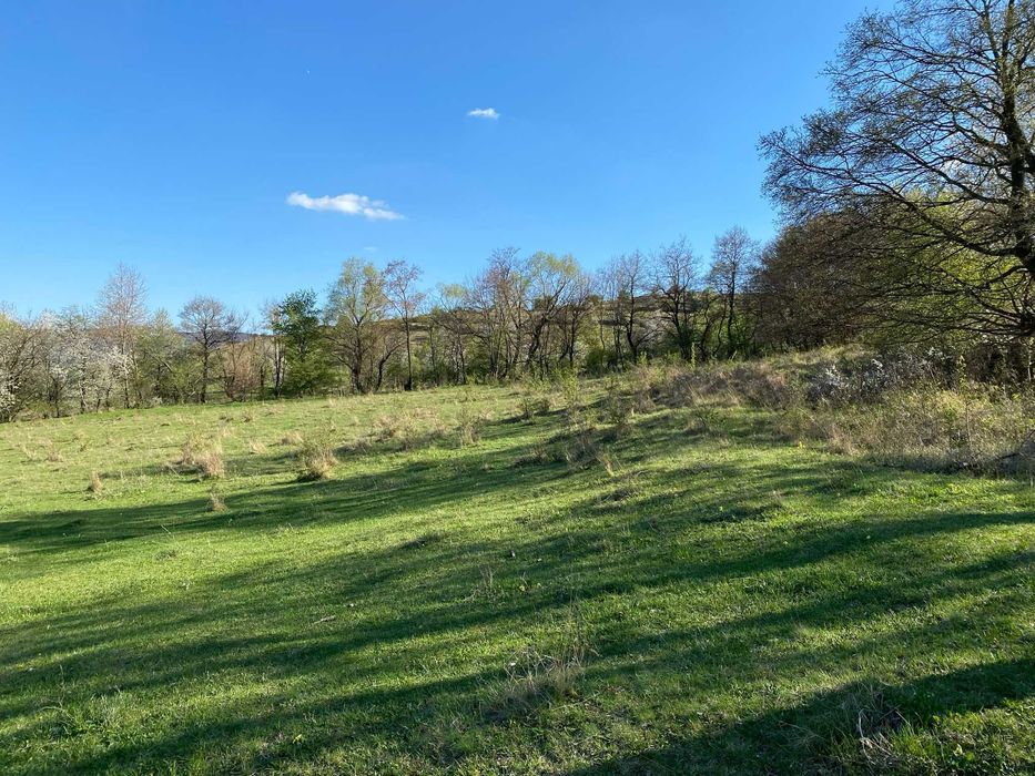 Teren superb Rimetea – acces auto, intimitate totală, pârâu aproape