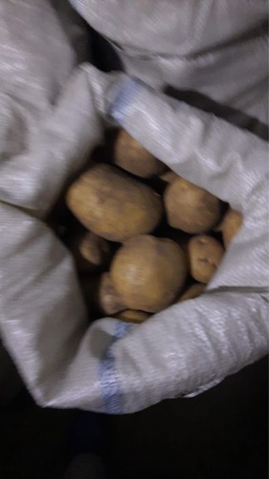 Продажа картошки мешками