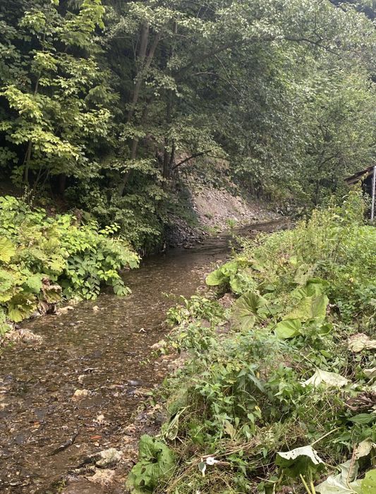 Vand teren Predeal cu deschidere catre DN