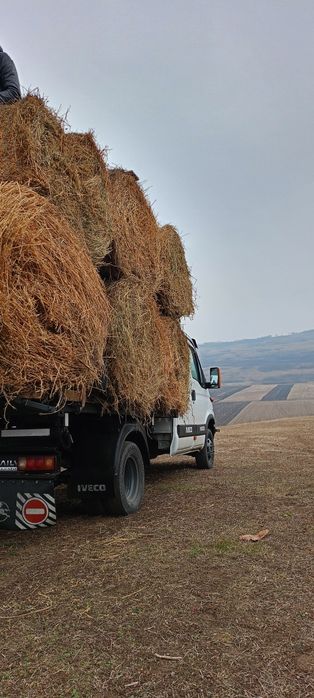 Vând role de lucernă