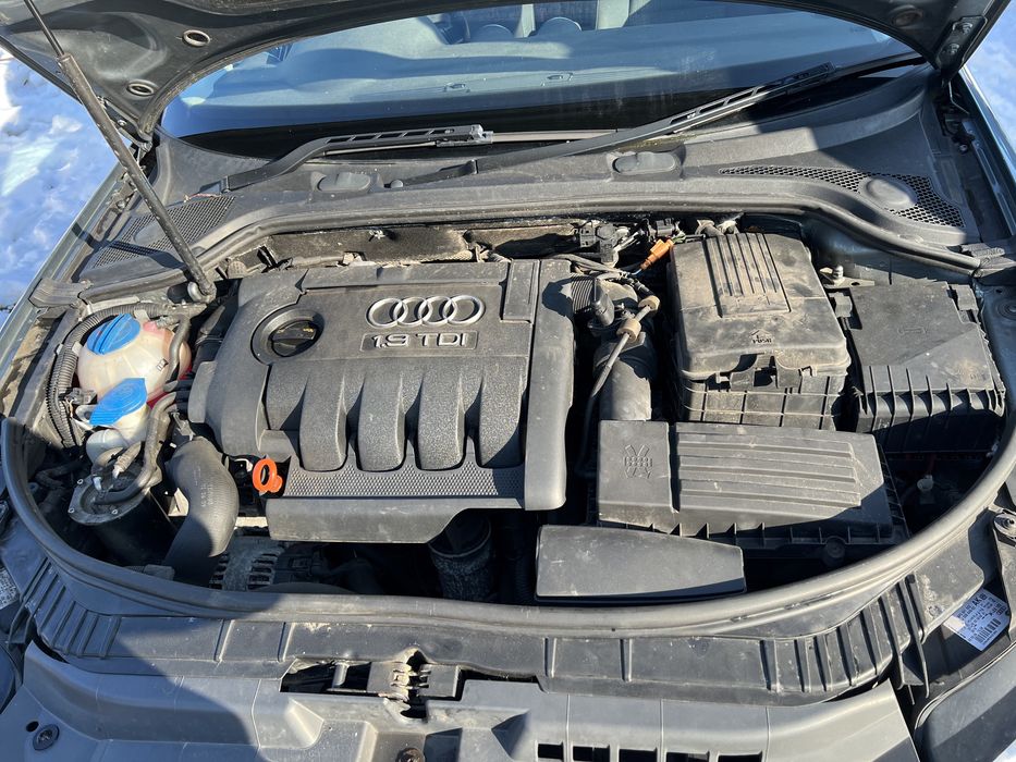 Audi A3 1,9TDI 105к.с BLS 2009г. НА ЧАСТИ