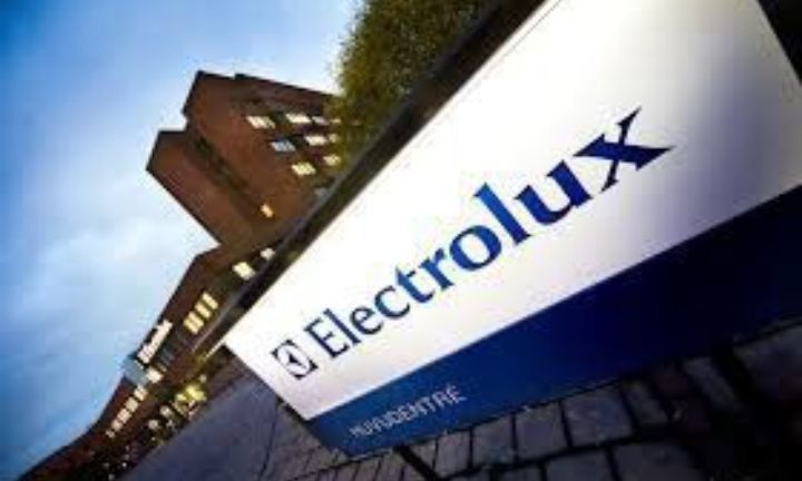 Electrolux  Электрический камин от шведского концерна  Доставка