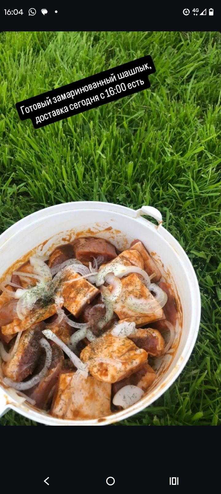 Маринованный шашлык из утки
