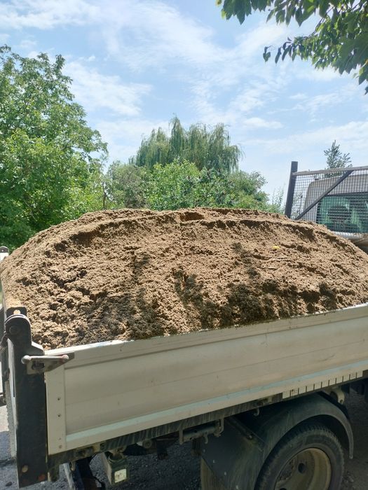 Sort -nisip și lemne