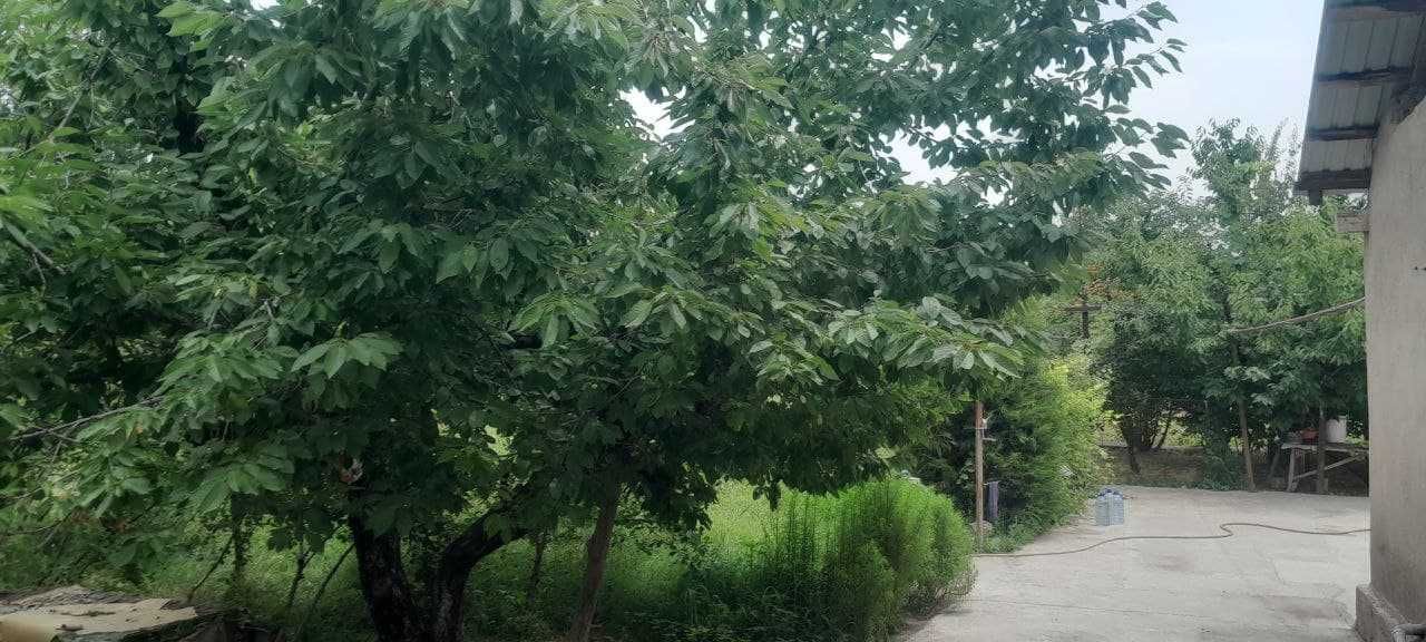 Срочно  Продаётся дом