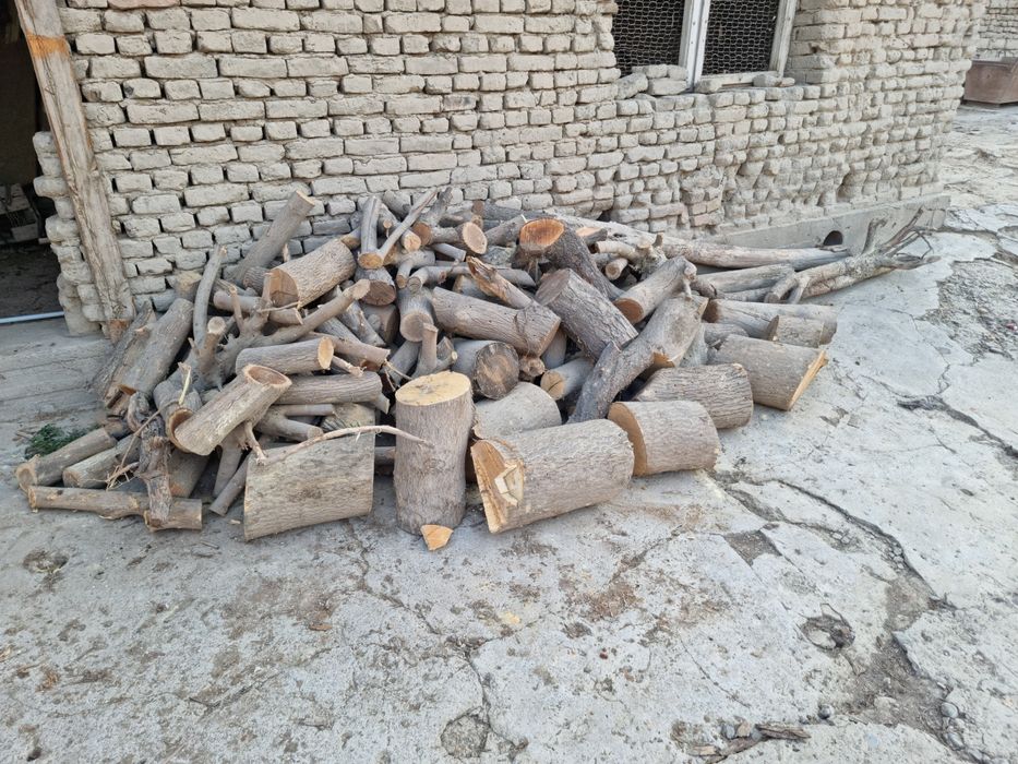 Утин Сотилади Кунда Шохлар