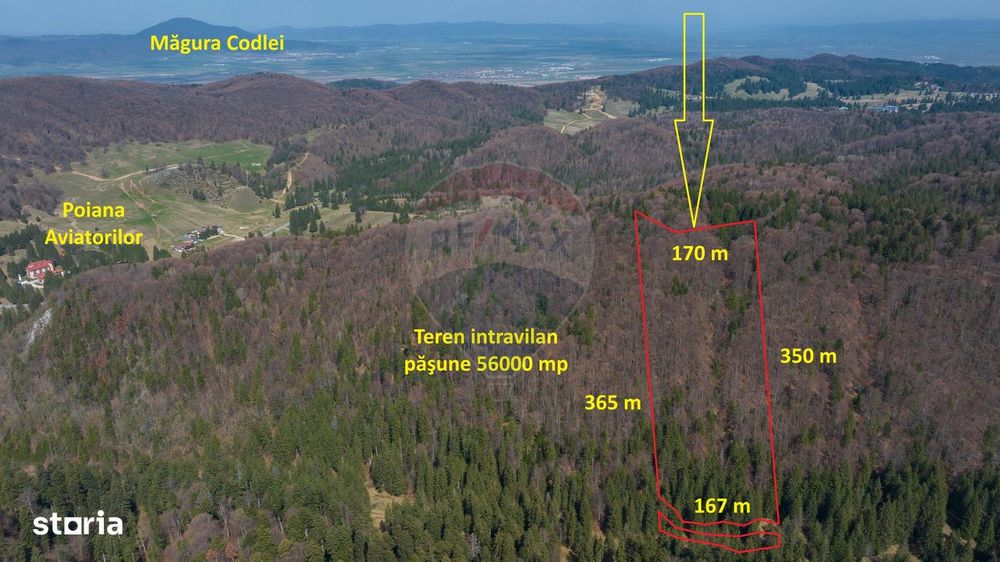 Teren intravilan, 56000 mp, Poiana Braşov