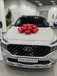 Hyundai Santafe palisad tucson sonata elantra
