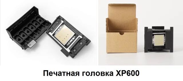 Epson xp600 golovka