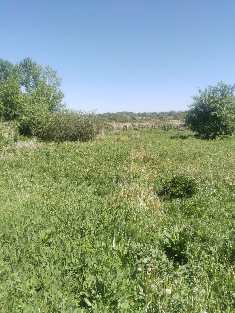 Продам дачу на ромашку в сортировке