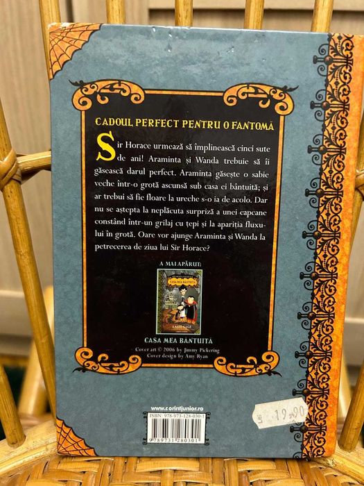 Sabia din grota, Angie Sage, ed. Corint Junior