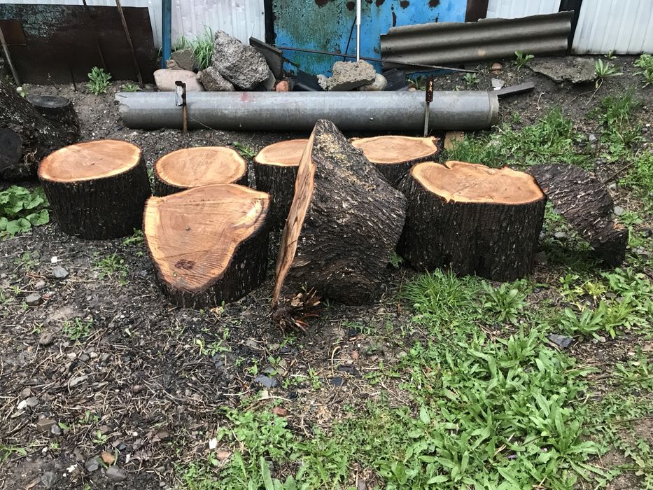 Сухие дрова, груши