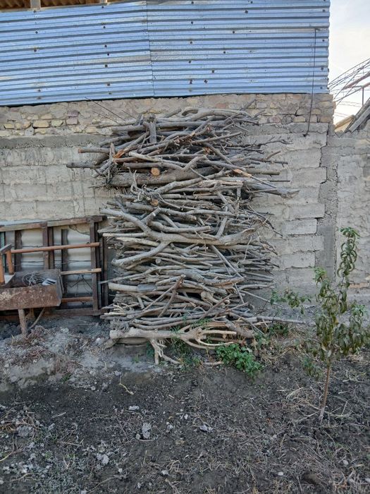 Qish fasli uchun tarosha