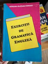 Exercitii de gramatica Lb Engleza