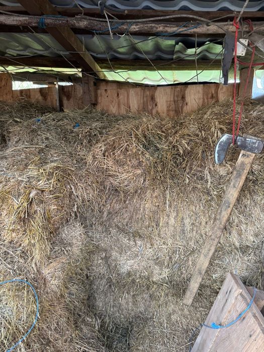 Baloti fan amestecat cu lucernă