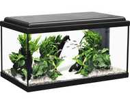 Vand acvariu mare, sticla, dimensiuni 50X30X31 CM, 70 L, 340 lei