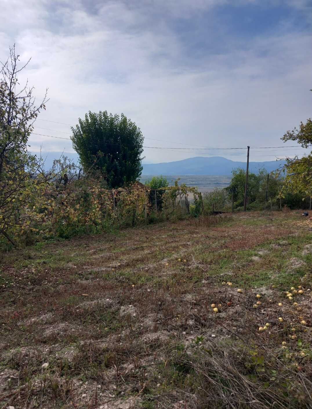 Продава парцел в с. Шипочано.