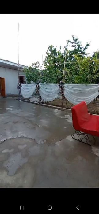 Zangi ota ziyoratgoxidan otganda tinchlikda