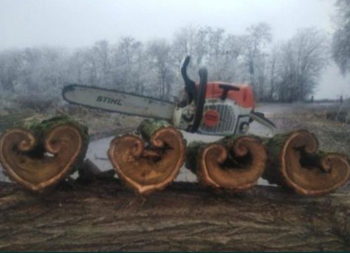 Спил деревьев любой сложности