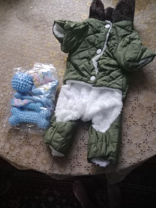 Костюм на маленькую собачку