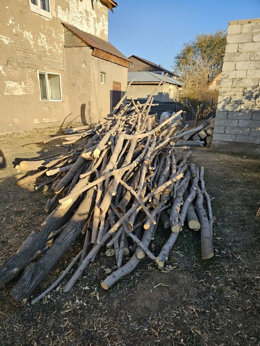 Дрова дерево стволы