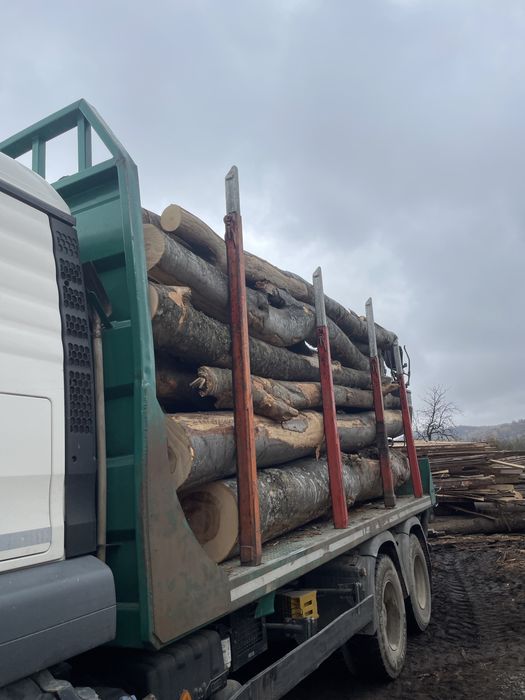 Lemn foc fag, cherestea rasinoase