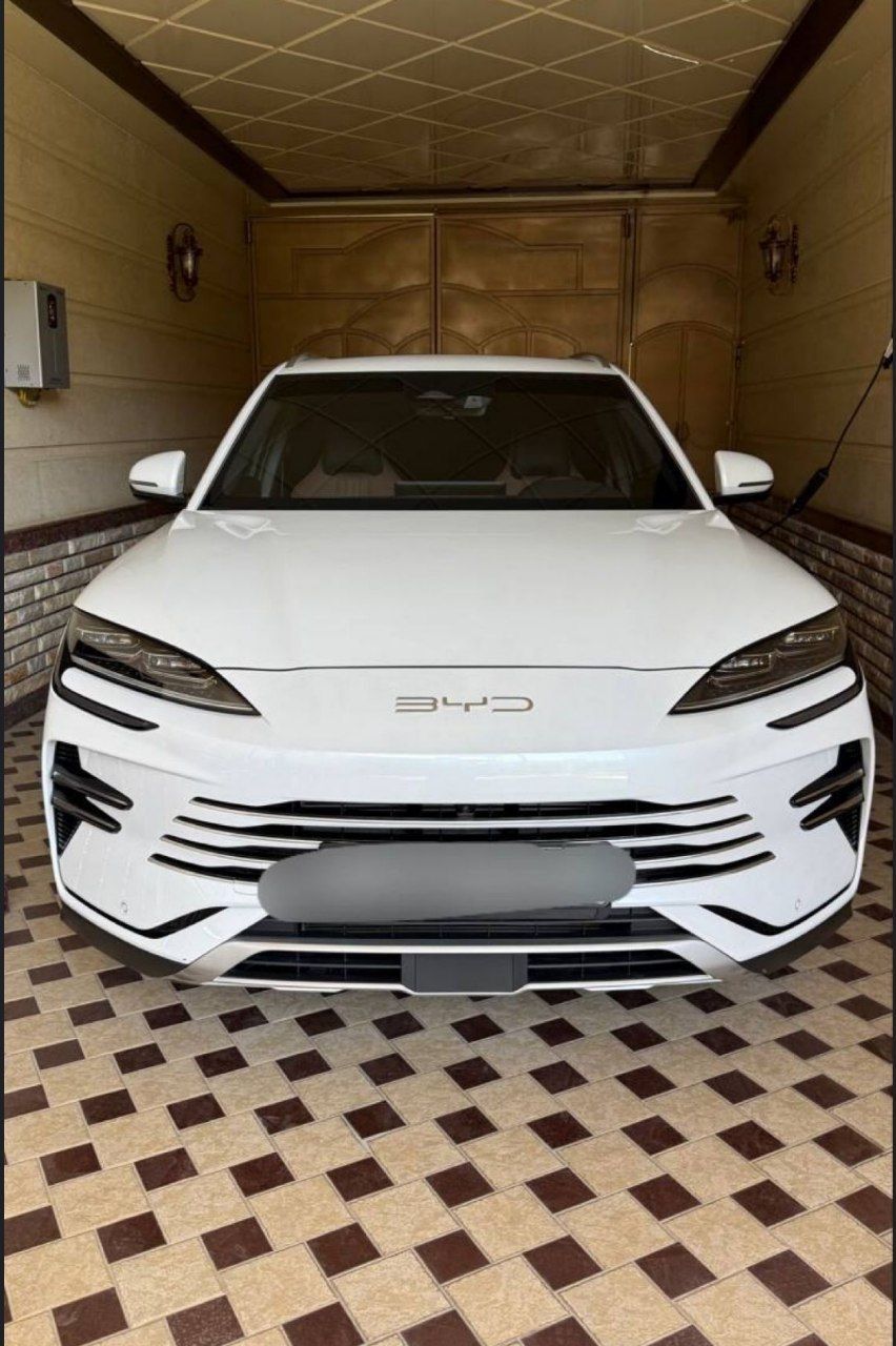 BYD CHempion gibrid 2024