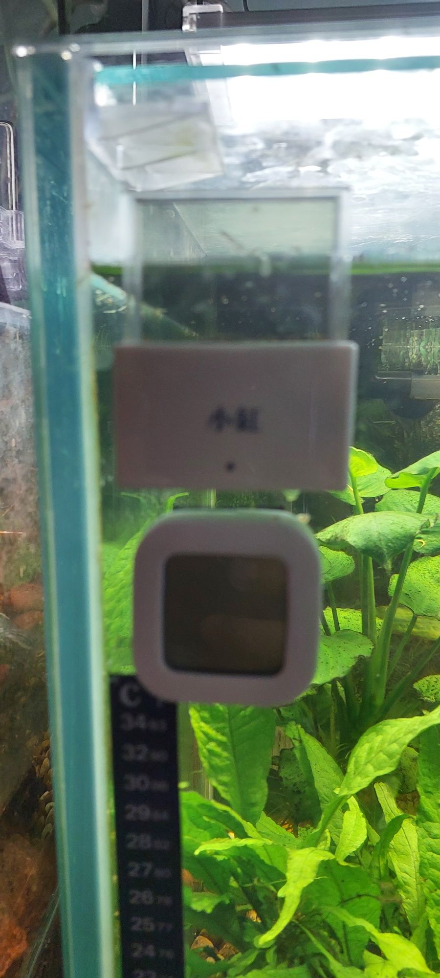 Akvarium sotiladi