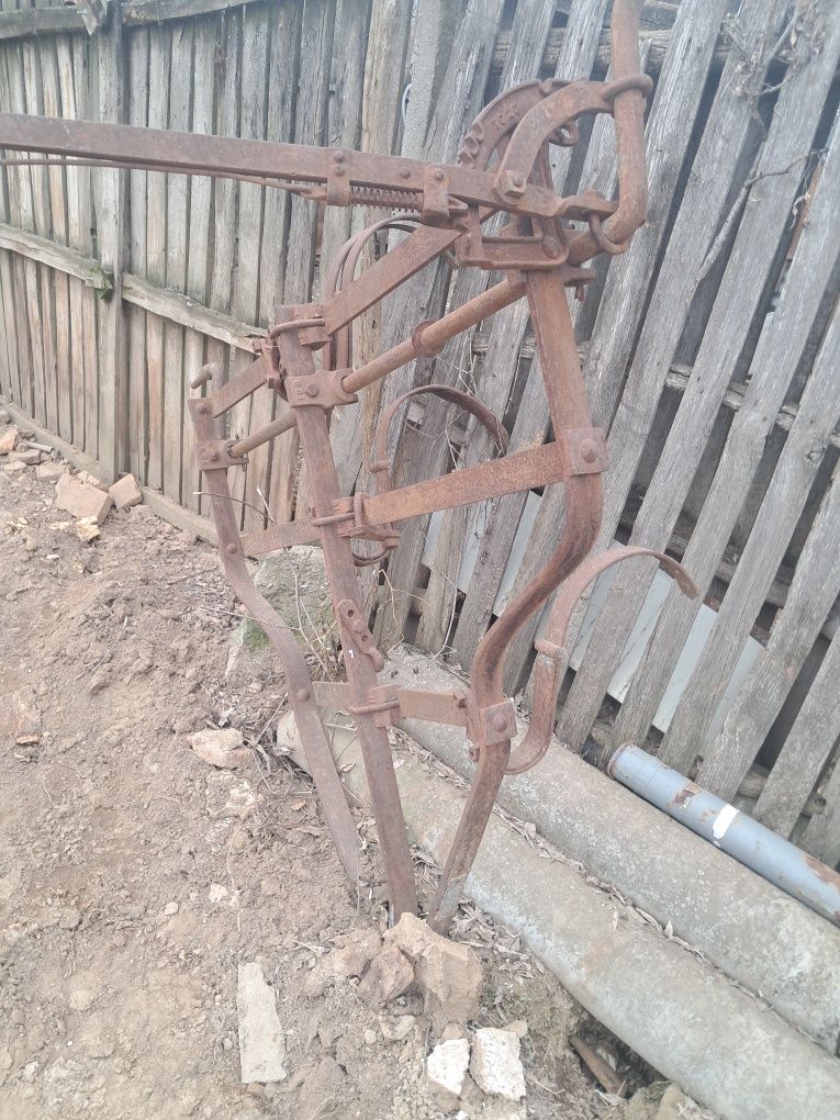 Plug și rarita vechi de 150 de ani