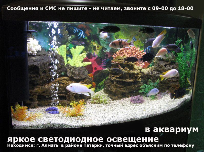 освешение АКВАРИУМА или хоть куда. Светильник ВЛАГОСТОЙКИЙ