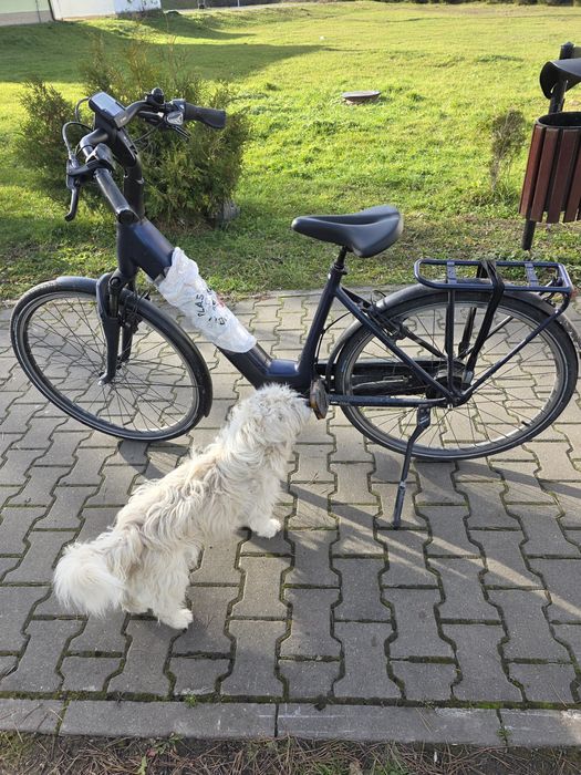 Bicicletă electrică adusă din Germania este foarte bună dar este mare