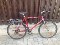 Bicicleta Troger