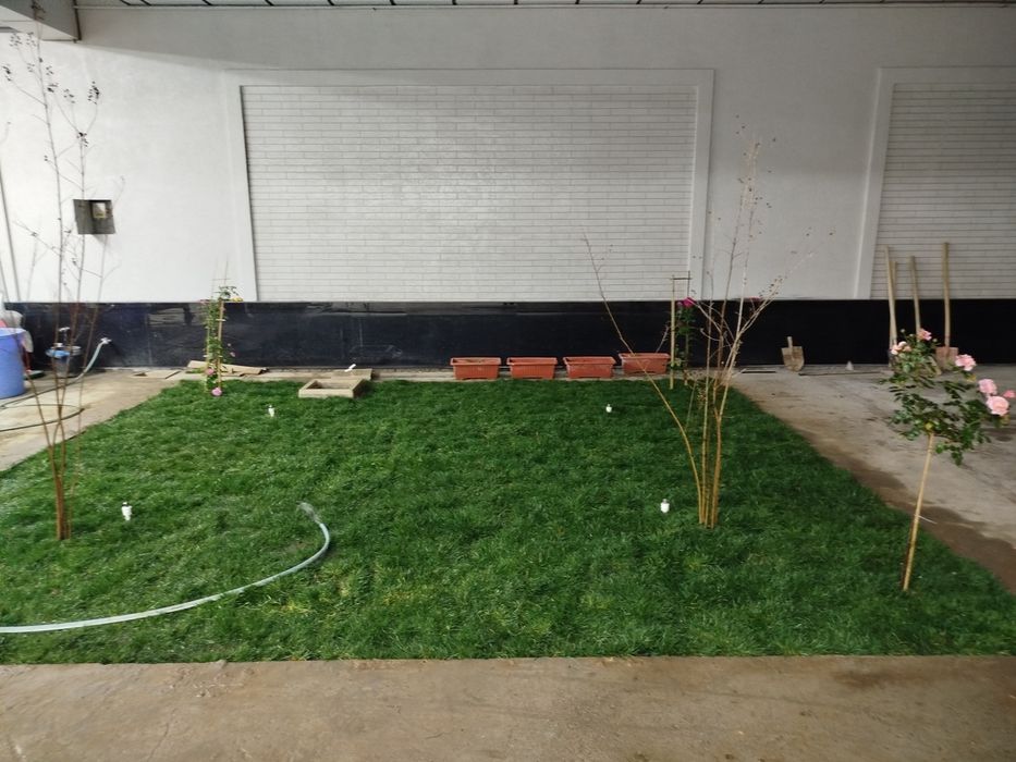 Gazon ekamiz Urug' Sepamiz Landshaft Va Dizayn Ishlarini Qilamiz