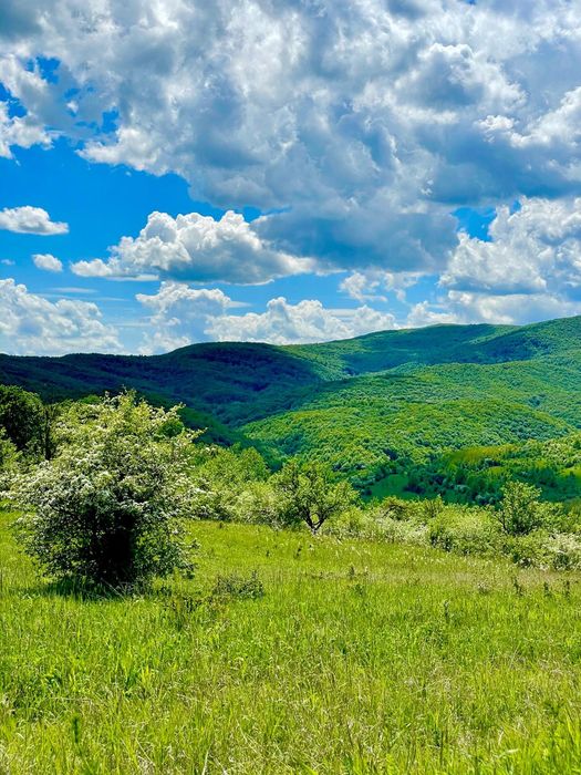 Terenuri extravilane de vânzare – Cozieni, jud. Buzău