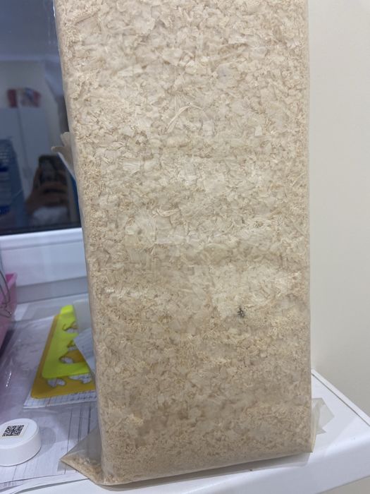 Опилки для грызунов