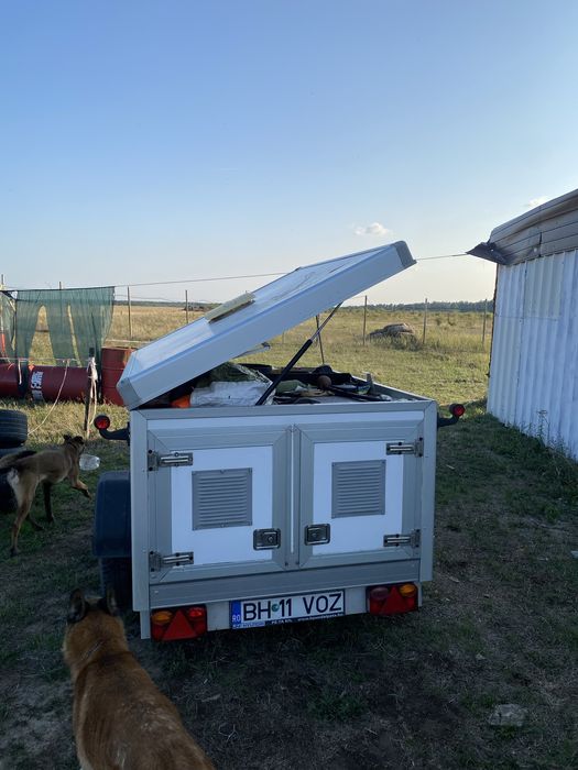 Remorca transport caini