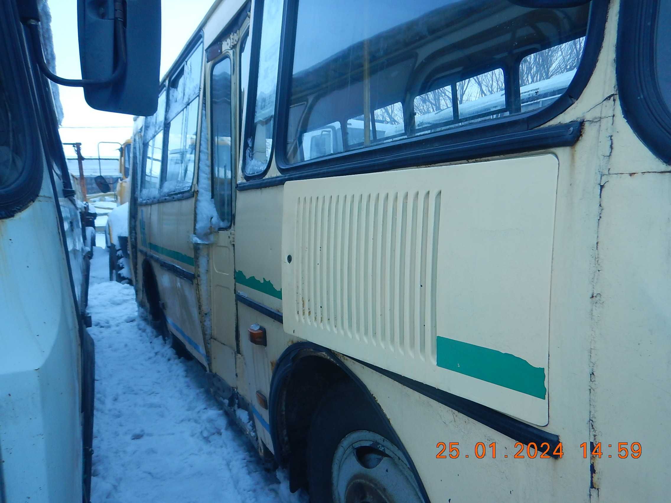 Автобус Паз 32054