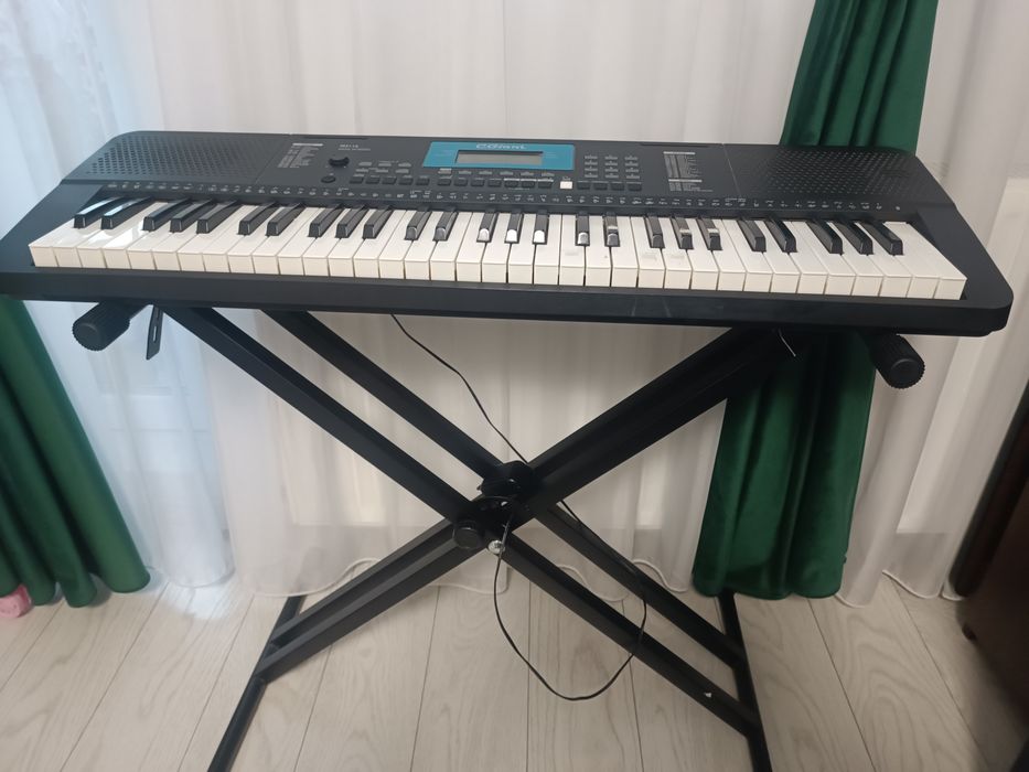 Orga electronica C. Giant M611K