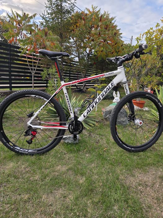 MTB Cannondale Lefty Flash