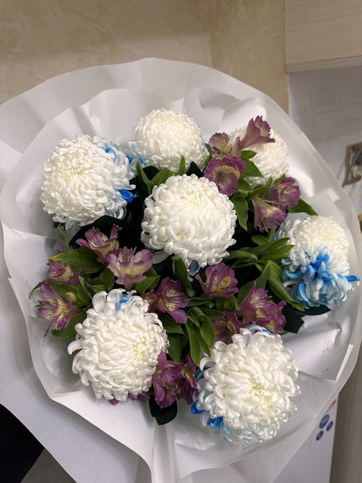 Гул казир келди, свежий