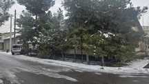 Продаются два дома на одном участке. 6 соток