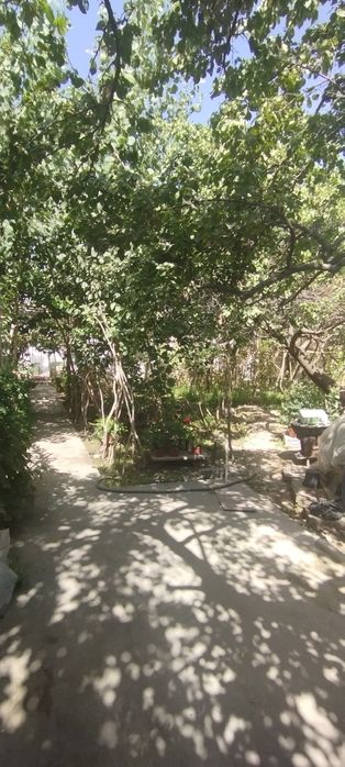 Куйлюк.  Ховли сотилади ёки алмаштирилади 2.5 сотик