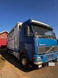 Volvo FH 12 transport animale