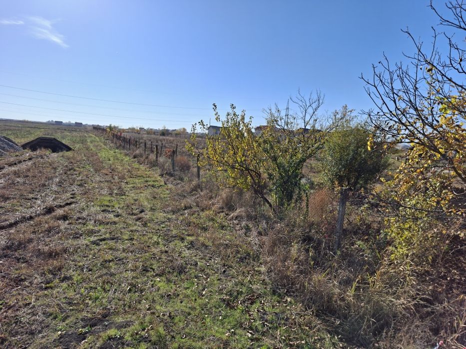 Teren de vânzare Mosnita noua