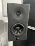 Monitoare de studio cardioide Shivaudyo - Point Zero