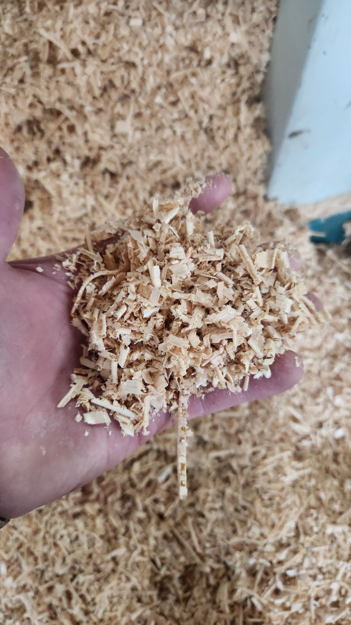 Продам  опилки по 400
