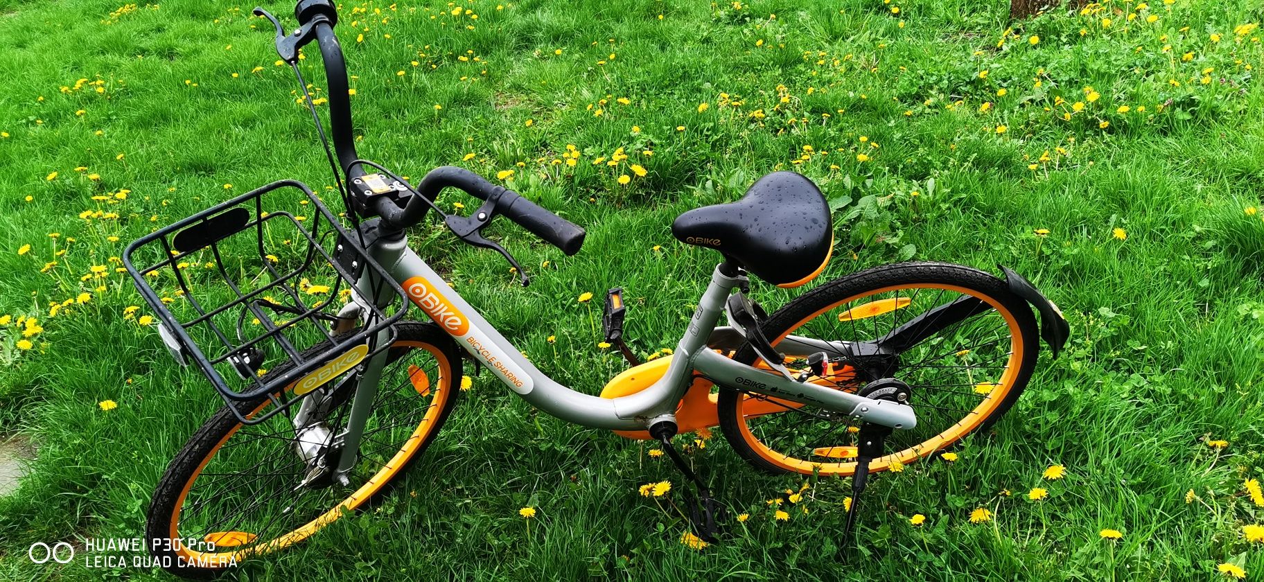 Bicicleta OBike 26