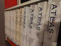 Colectie completa Atlas Deagostini