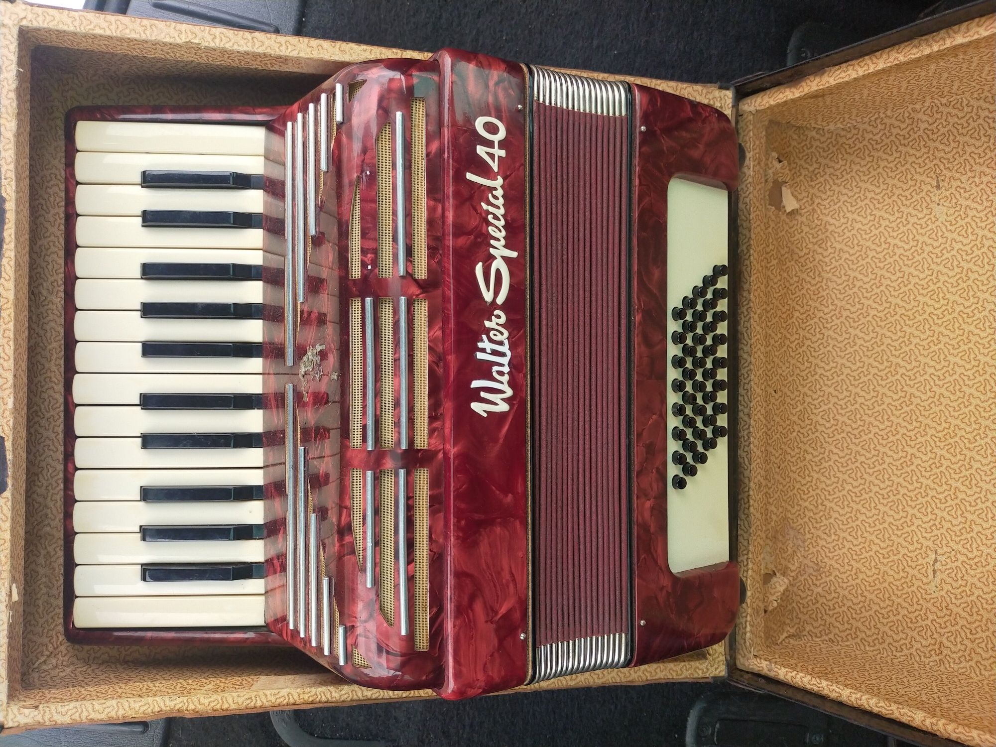 Vand acordeon weltmeister
