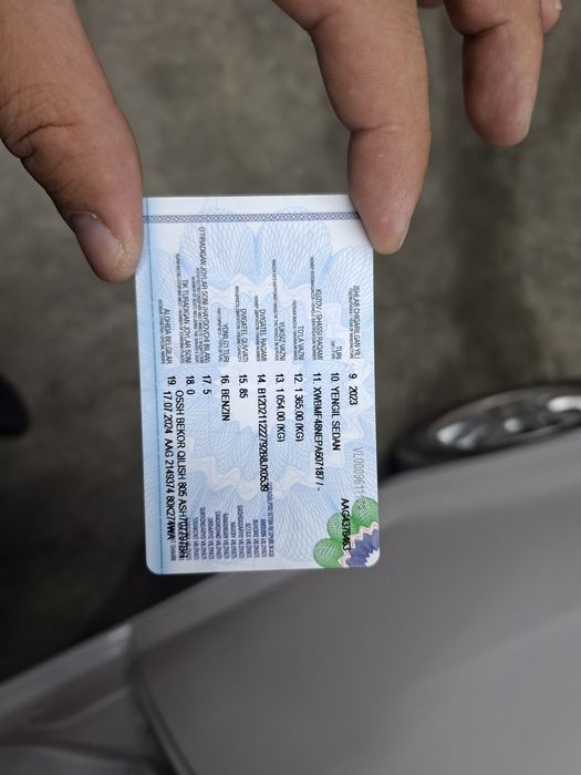 Spark 2023 tozza 100%